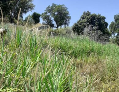 TERRENO IN CONTRADA MONTE