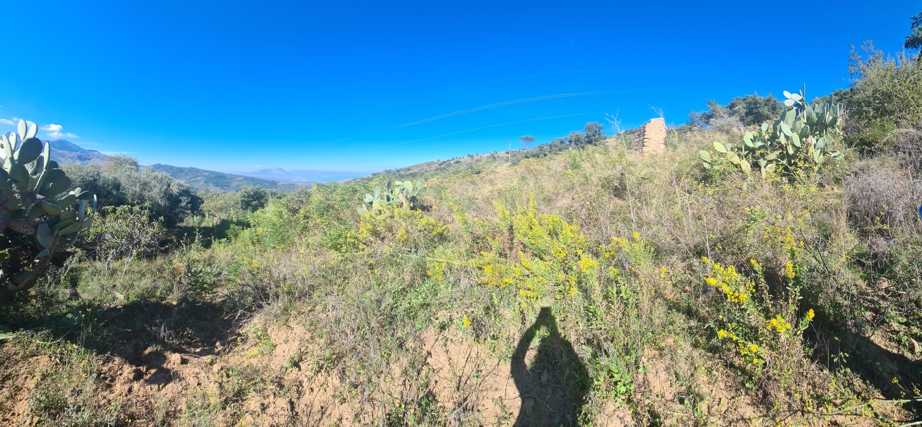 TERRENO AGRICOLO IN CONTRADA SERRE
